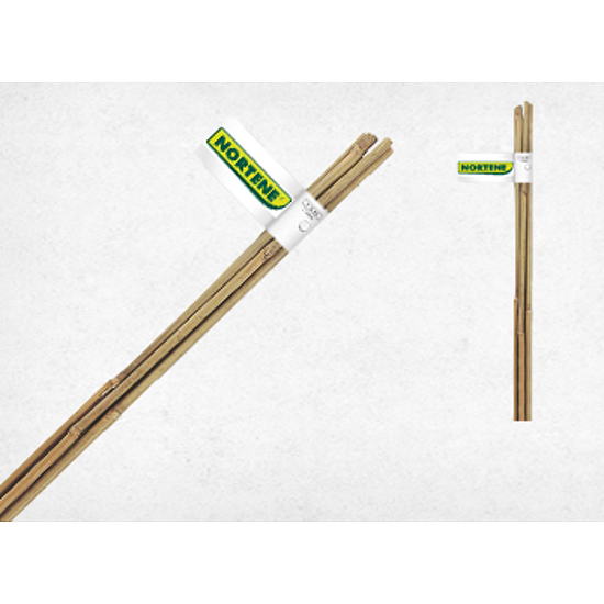 Nortene BAMBOO bambusz termesztő karó - 1,8 m -  ? 12-14 mm - bambusz - 140835