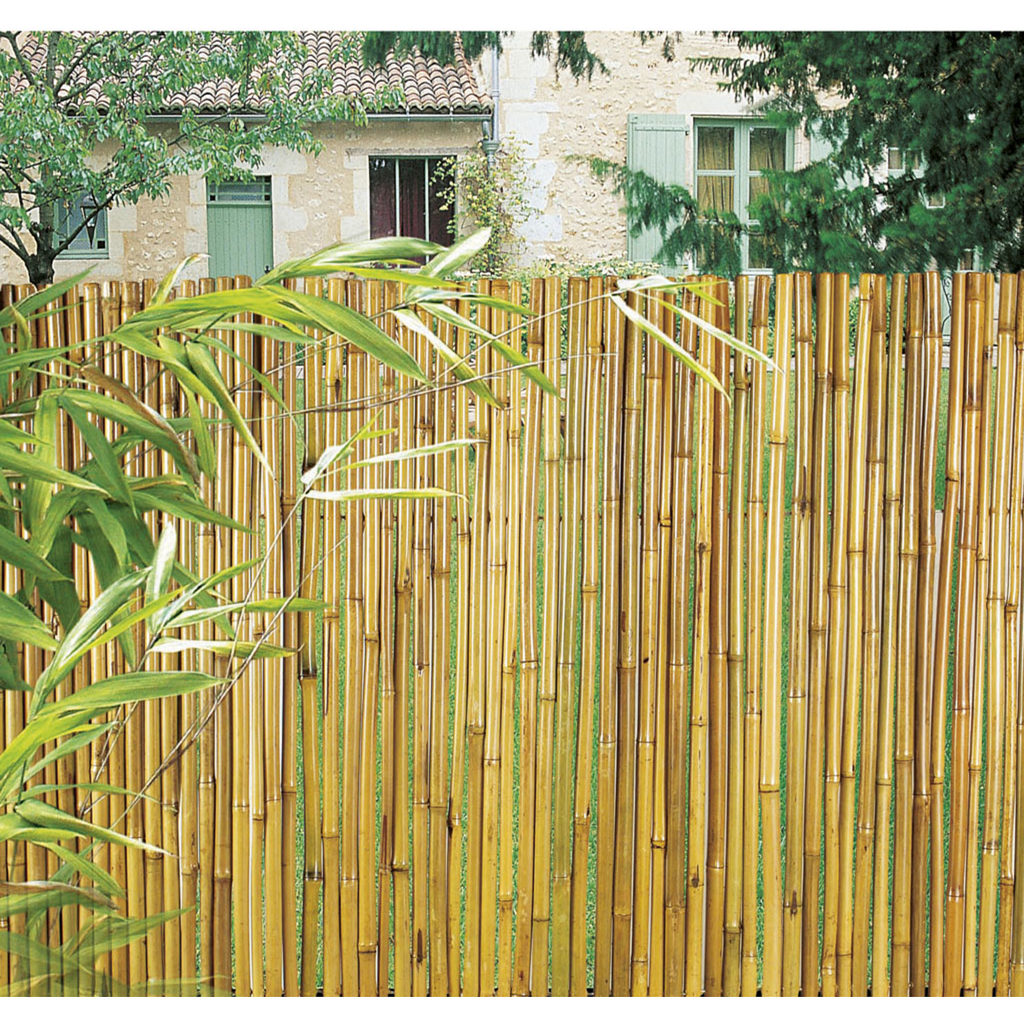 Nortene BAMBOOFLEX bambuszkerítés ?15 mm - 1,5 x 3 m -  bambusz - 170882