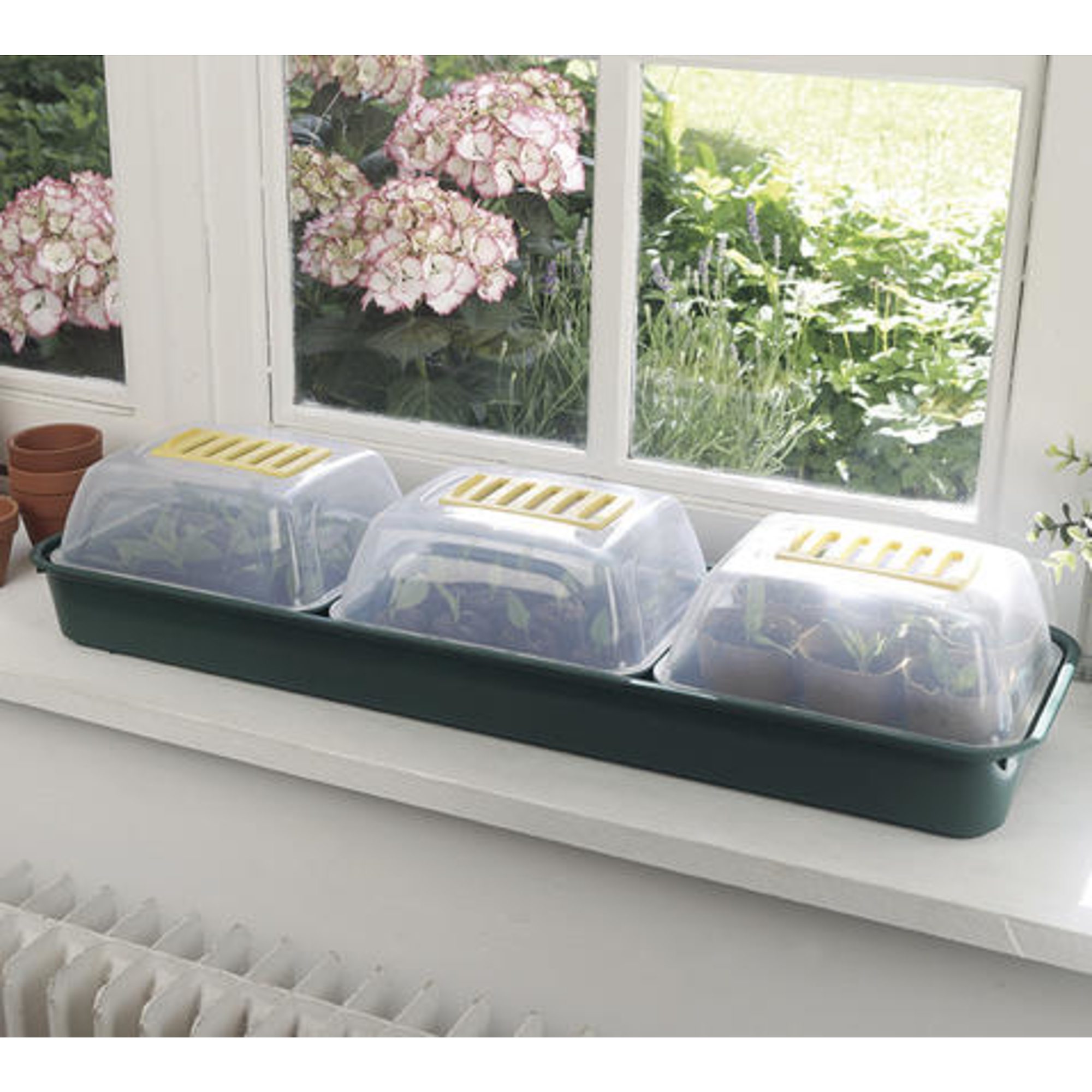 Nortene RAPID GROW WINDOW ablakba helyezhető mini üvegházak - 22 x 17,5 x 13 cm  x 3 db. - zöld/s