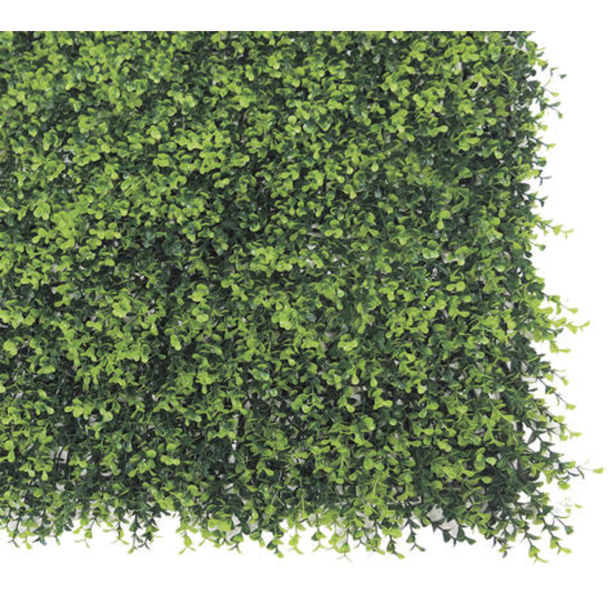 Nortene VERTICAL BUXUS zöldfal buxus levelekkel - 1 x 1 m - zöld 2017253