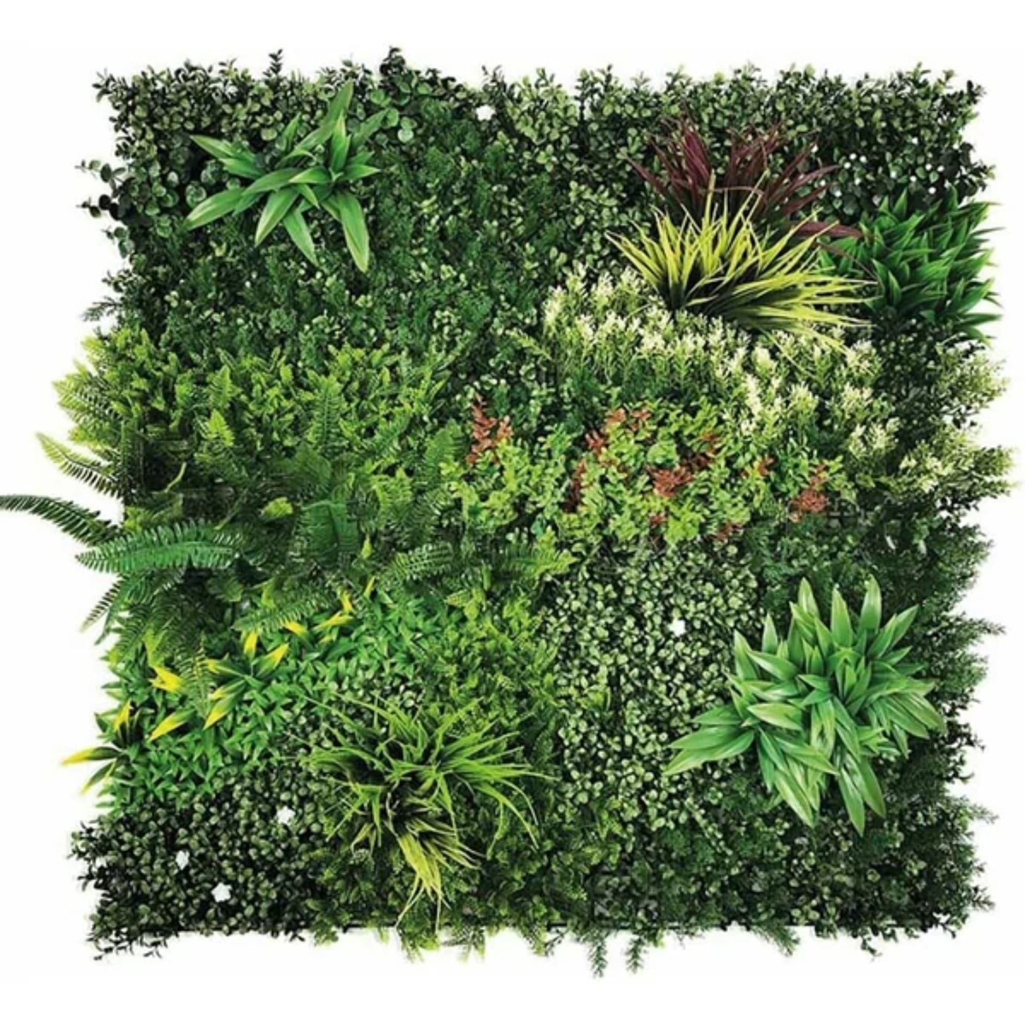 Nortene VERTICAL GRAZING zöldfal Buja vadvirágokkal - 1 x 1 Méret (m)  (2021592)