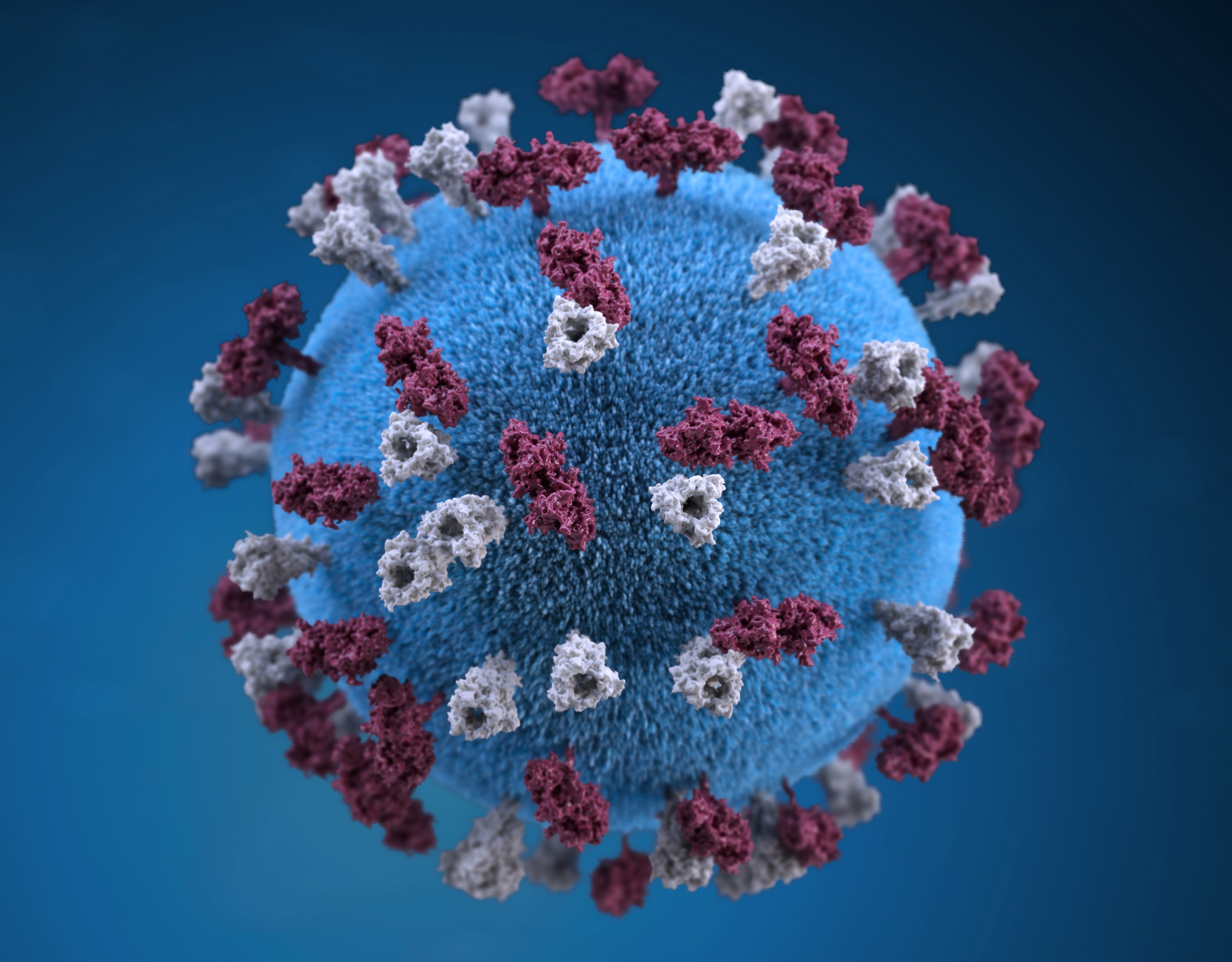 Hogyan előzhetjük meg a koronavírus terjedését?