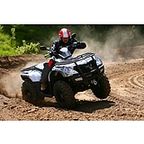 GOES Iron 450 quad Max Limited