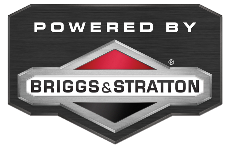 Briggs & Stratton motor