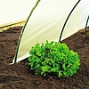 Nortene CLIMAFILM PRO 70 µm LDPE kertészeti fólia - 2 x 5 m -  sárga - 110052