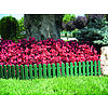 Nortene FLORA BORDER műanyag szegélycsomag - 20 x 50 cm  / 1 db szegély  -  zöld - 170091
