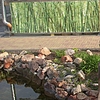 Nortene STYLIA árnyékoló festett virág díszítéssel - 1 x 3 m -  bambusz - 2011310