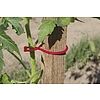 Nortene TOMATOCLIP növénykapocs (25) - 6,2 cm Méret (m) -  piros - 2017726