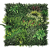 Nortene VERTICAL GRAZING zöldfal Buja vadvirágokkal - 1 x 1 Méret (m)  (2021592)