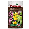 Plantella Ideal 70l Virágföld 40627